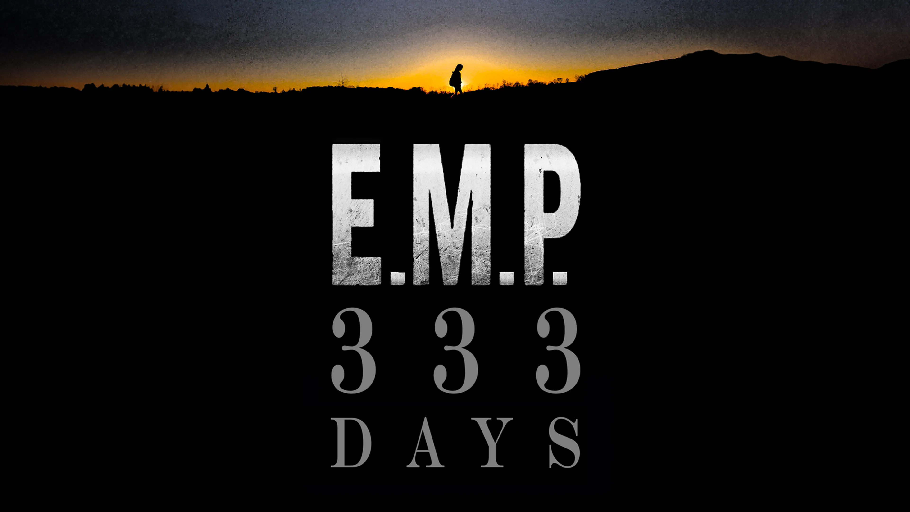 E.M.P. 333 Days poster